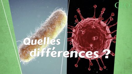 Quelle est la différence entre une bactérie et un virus ?