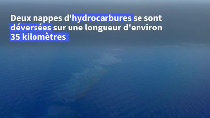 Corse: une pollution aux hydrocarbures se rapproche des côtes