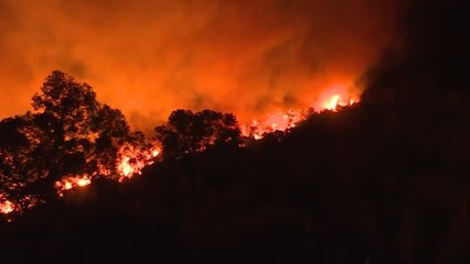 Turquie: des centaines d'évacués, le feu aux portes d'une centrale thermique