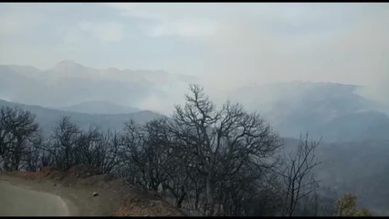 Sept morts lors d'incendies dans le nord de l'Algérie