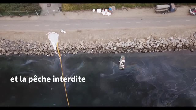 Course contre la montre en Californie pour contenir une marée noire