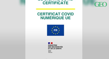 Voyage : pass sanitaire européen, mode d'emploi