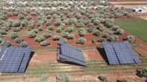 En Syrie, l'énergie solaire pour charger son portable ou planter des tomates