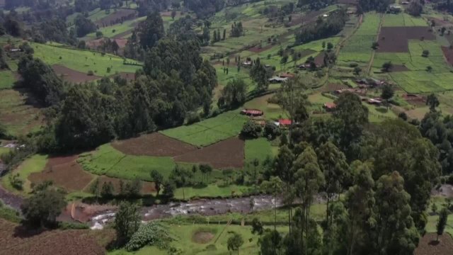 Au Kenya, les pêcheurs à la mouche veulent ouvrir les portes de leur paradis