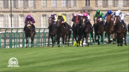 VIDEO Grosse frayeur pour Sophie Thalmann au Prix de Diane