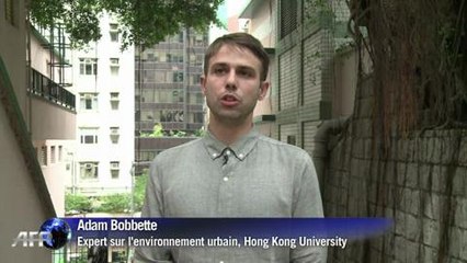 A Hong Kong, une armée de chariots poussés par des vieillards