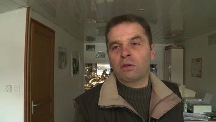 Climat: les vaches continueront de roter alors, que faire ?