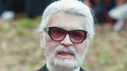 VOICI - « Il est temps pour vous de disparaître » : Karl Lagerfeld se fait dézinguer par une actrice