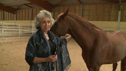 Le cheval, nouveau coach de la vie en entreprise