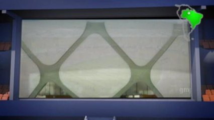 L'Arena Amazonia de Manaus