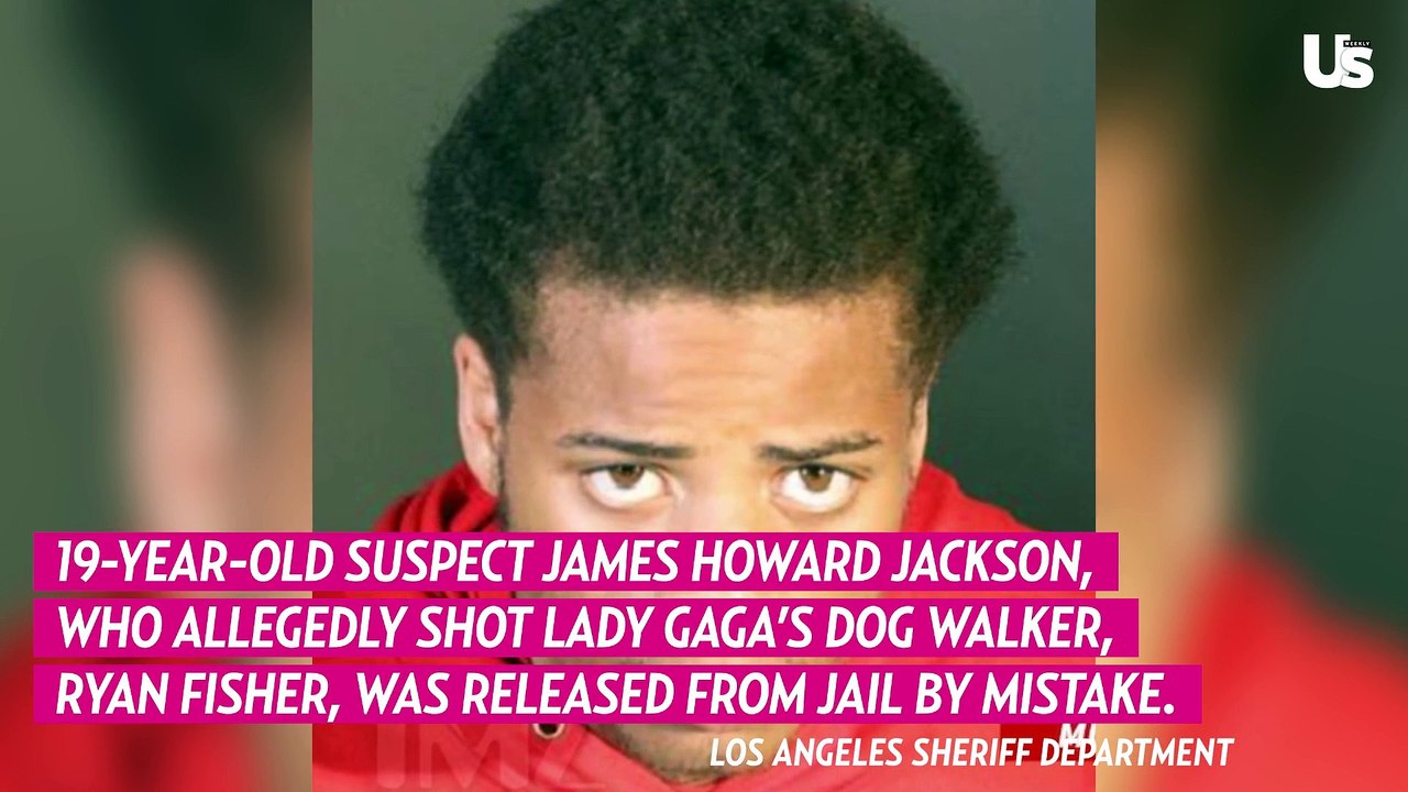 Lady Gaga Kidnapper Suspect Accidentally Released