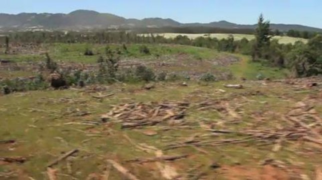 Chili: les indiens Mapuches revendiquent leurs terres spoliées