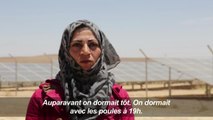 Jordanie: un camp de réfugiés se dote de panneaux solaires