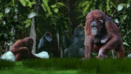 Les espèces menacées