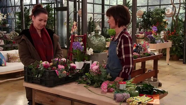 Rote Rosen Folge 3538