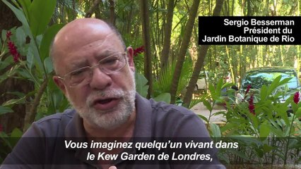 A Rio, les habitants du Jardin botanique redoutent l'expulsion