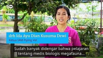 Cara Menyelamatkan Hewan Laut Selundupan yang Sakit di Pusat Rehabilitasi Bali