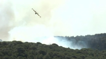 Incendies: le Var en vigilance particulière