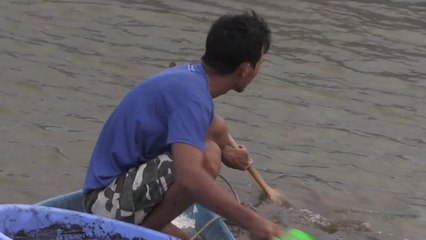 Au Vietnam, la crevette, bonne fortune des riziculteurs