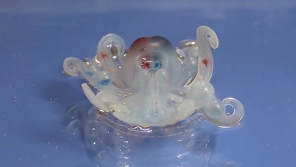 Octobot : l’étonnant robot poulpe de l’université de Harvard