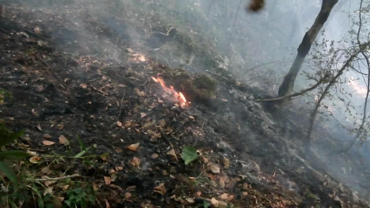 L'Albanie lutte contre les feux de forêt