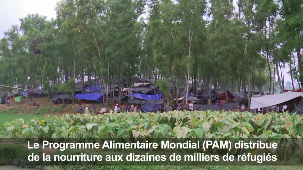 Birmanie: les Rohingyas continuent de fuir vers le Bangladesh