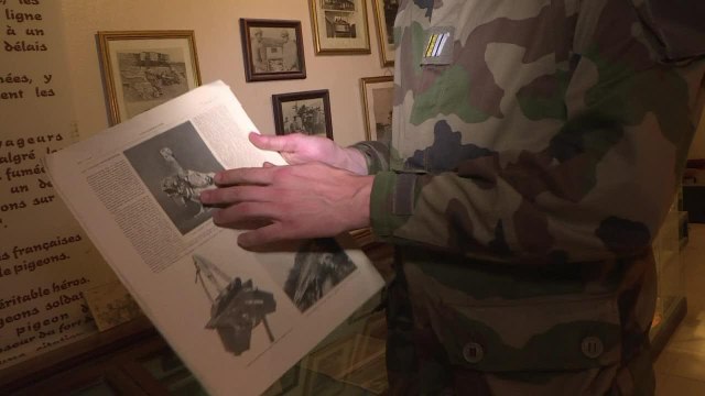 Au Mont Valérien, l'armée veille sur ses pigeons-voyageurs