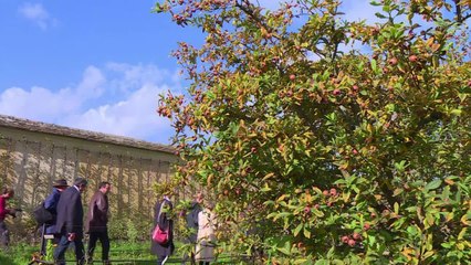 A Versailles, les mécènes au chevet du potager du roi