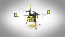 Nouveau RoboBee : l’incroyable robot insecte des scientifiques d’Harvard