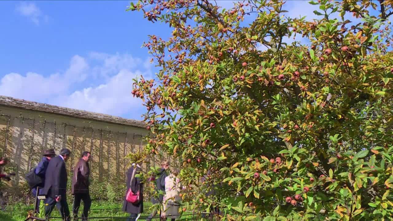 A Versailles, le Potager du Roi cherche des mécènes