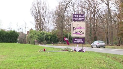 Du foie gras plus cher, moins abondant pour les fêtes