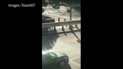 Attentat à New York: images de l'arrestation du suspect