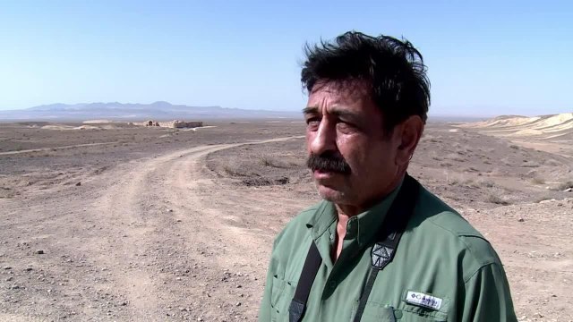 L'Iran se mobilise pour sauver les derniers guépards d'Asie