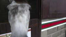 Les éleveurs de chevaux de course irlandais inquiets du Brexit