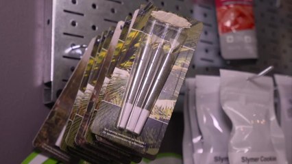 Ça plane pour la marijuana récréative en Californie