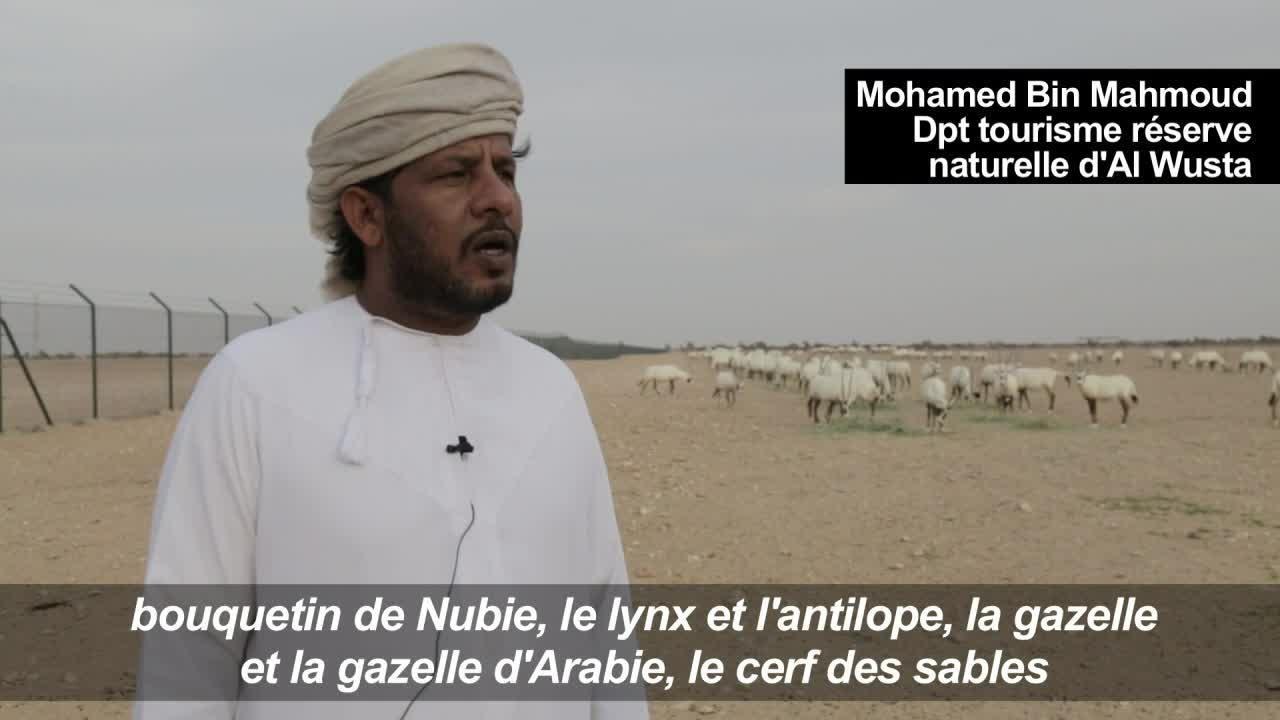 En quête de touristes, Oman ouvre au public une réserve d'oryx