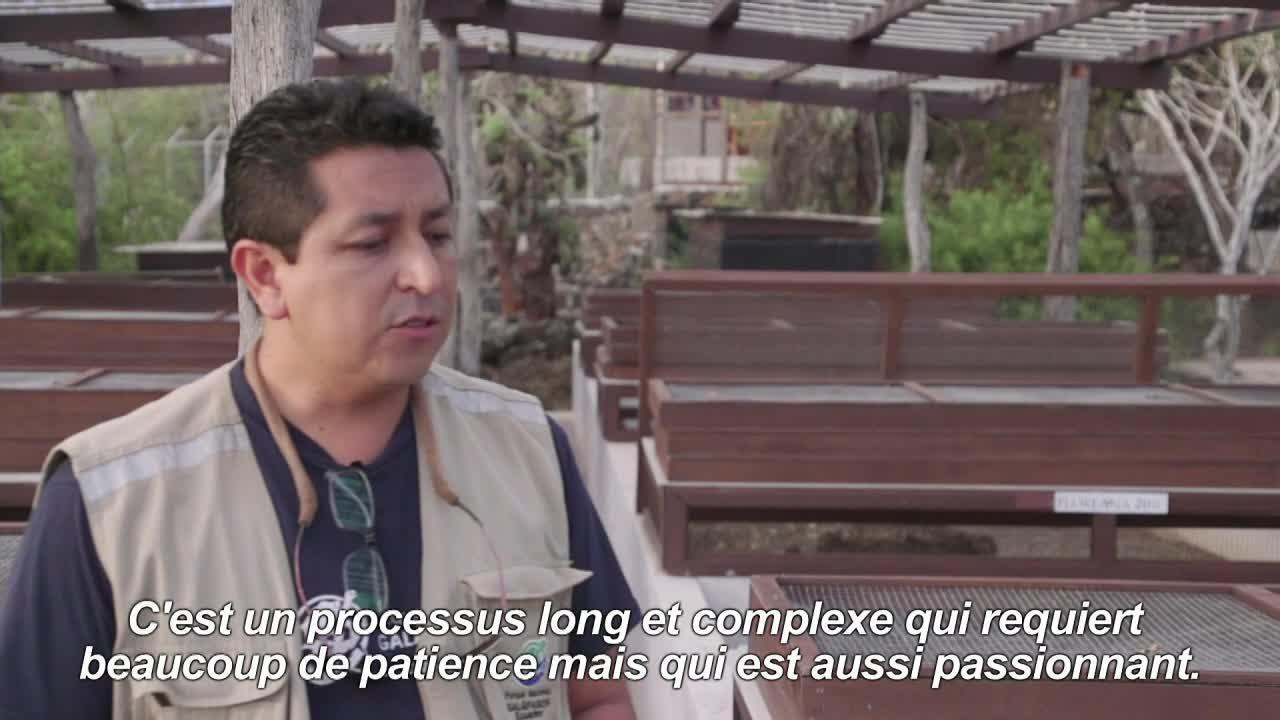 Equateur : Donfaustoi, le dernier géant découvert aux Galapagos
