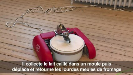 Pays-Bas: des robots apportent le fromage et servent le café