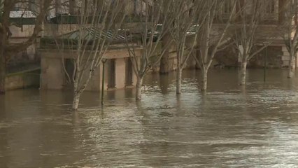 Crue à Paris: images de la Seine au niveau de Notre-Dame