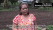 Des paysans philippins bravent la colère du volcan Mayon