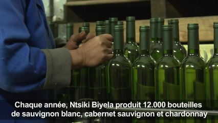 En Afrique du Sud, une Noire au pays des vignerons blancs
