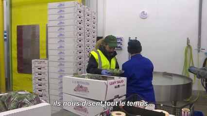 "Voices of Brexit": la comptable venue de Roumanie