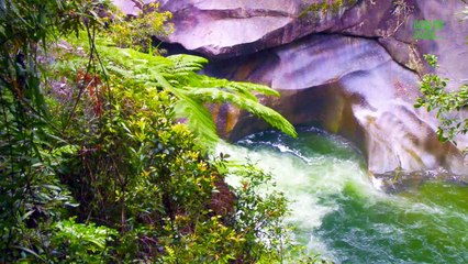 extrañas coincidencias o maldiciones