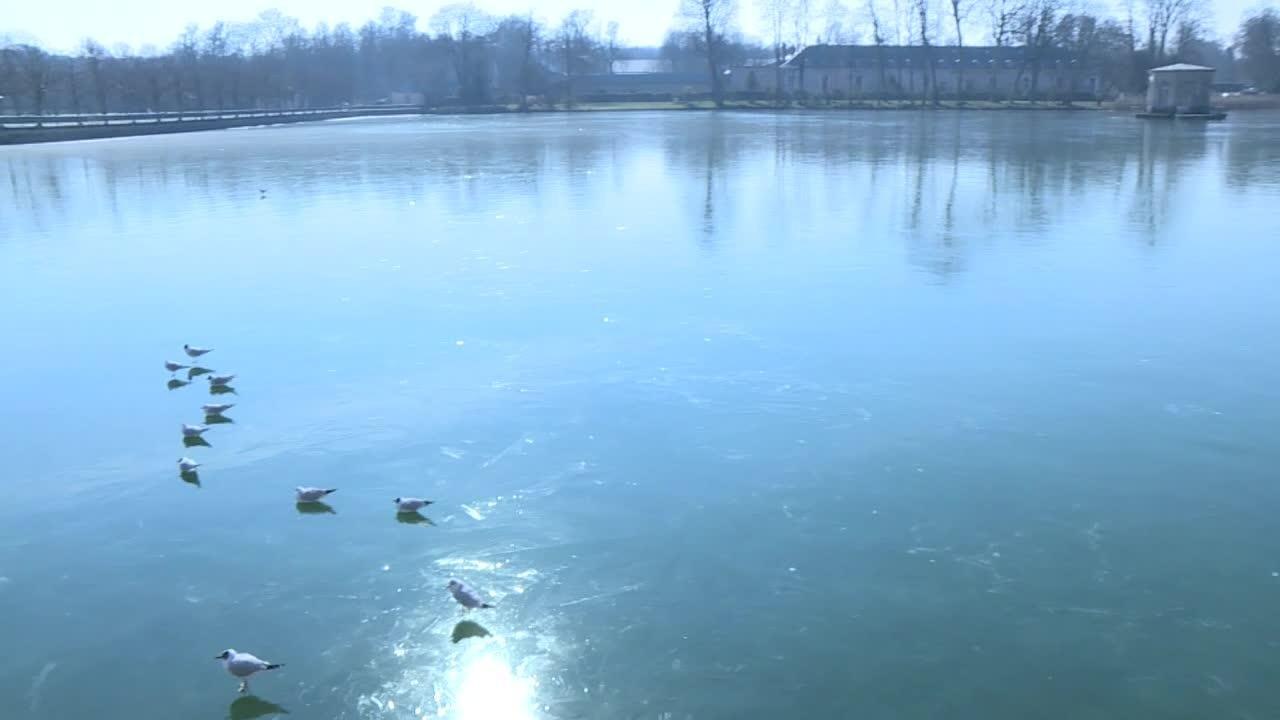 Fontainebleau: les bassins du château transformés en patinoire