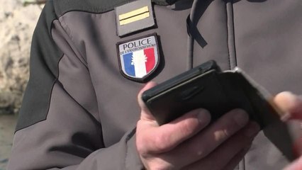 A Marseille, la guerre contre les braconniers des mers