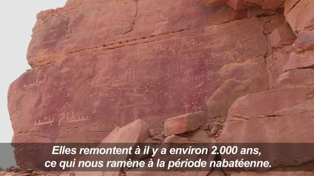 Mystères et sculptures de chameaux dans le désert saoudien