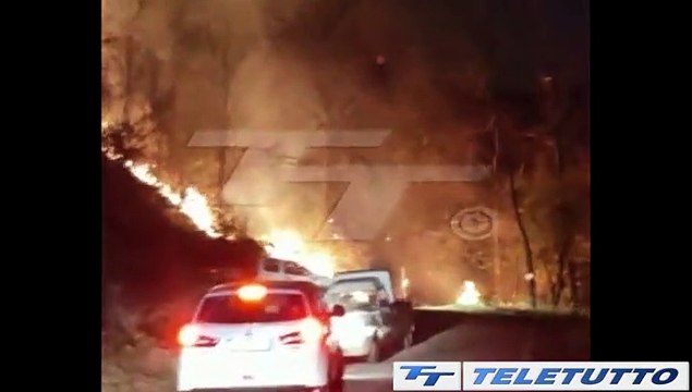 Video News - IN FUMO ETTARI DI BOSCO