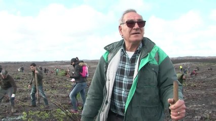 Portugal: la pinède royale de Leiria renaît de ses cendres