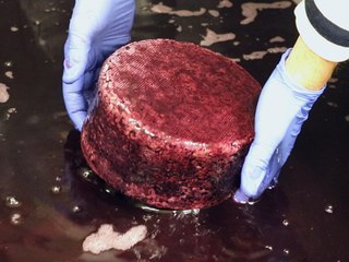 Découvrez cette fromagerie italienne qui fabrique des meules à 200€ trempées dans le vin