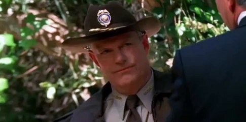 Without a Trace S03 E20